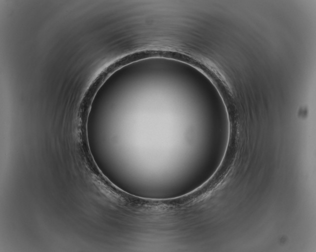 X0000096980926200802151327