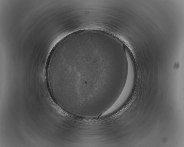 X0000096980928200802151327