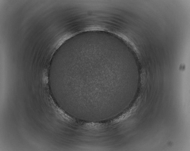 X0000096980929200802151327