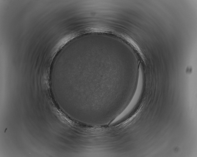 X0000096980930200802151327