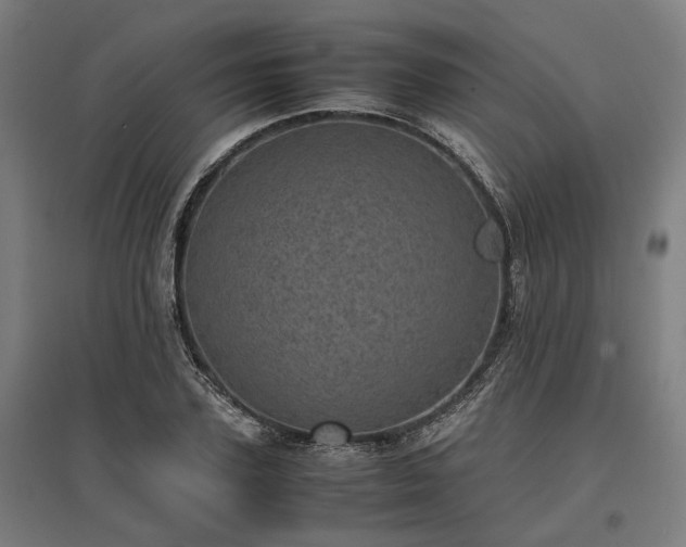 X0000096980931200802151327