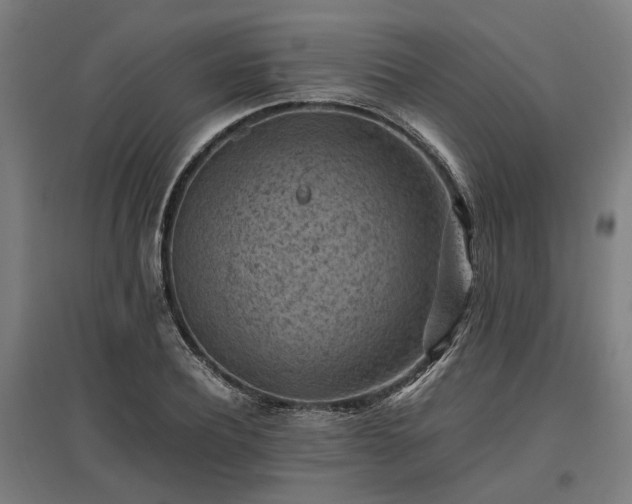 X0000096980932200802151327