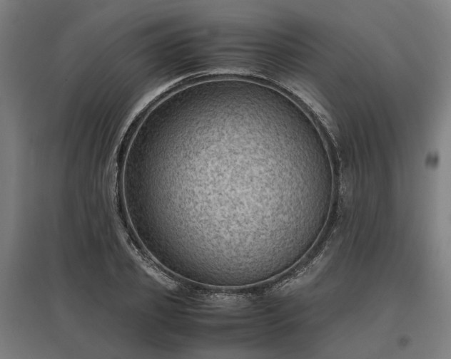 X0000096980933200802151327