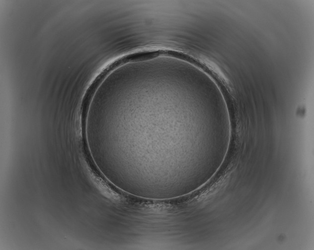 X0000096980934200802151327