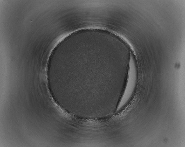 X0000096980935200802151327