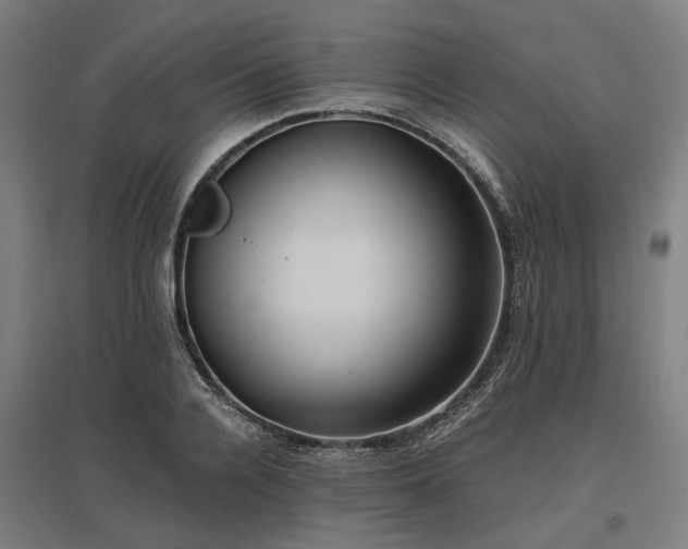 X0000096980936200802151327