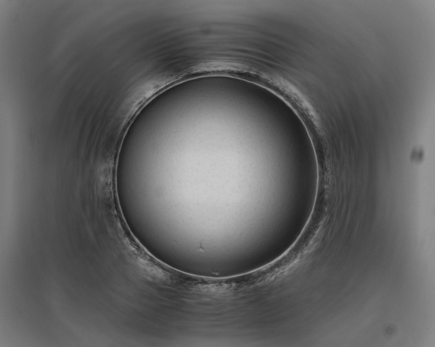 X0000096980937200802151327