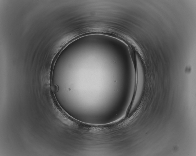 X0000096980938200802151327