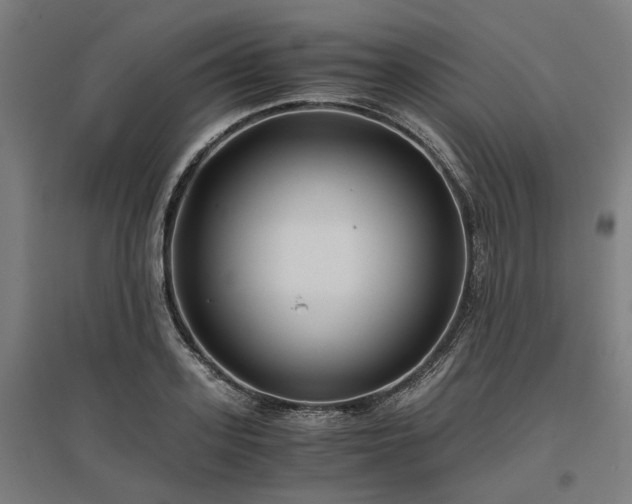 X0000096980939200802151327