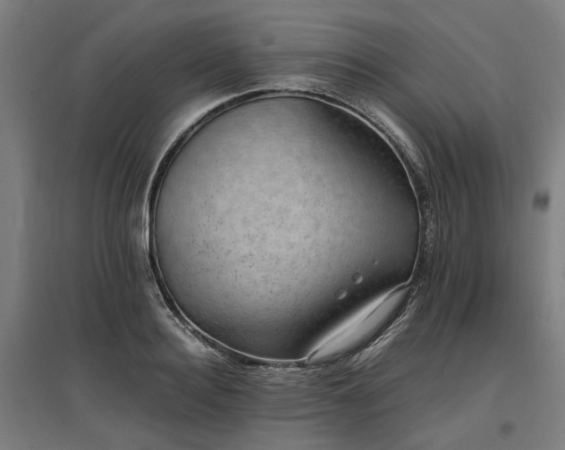 X0000096980940200802151327