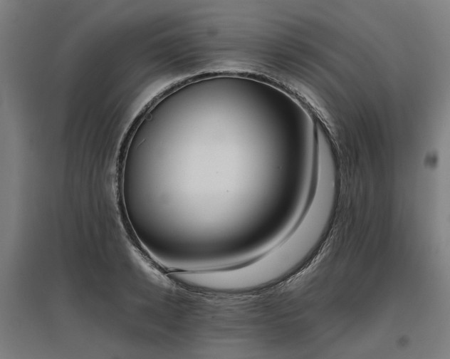 X0000096980942200802151327