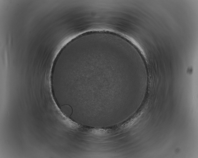 X0000096980943200802151327