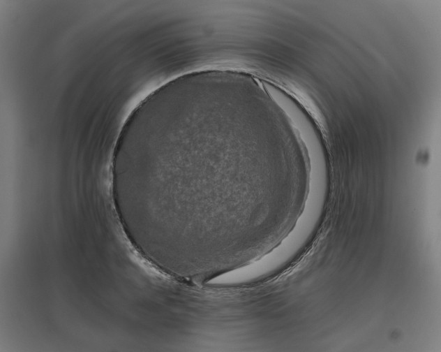 X0000096980944200802151327