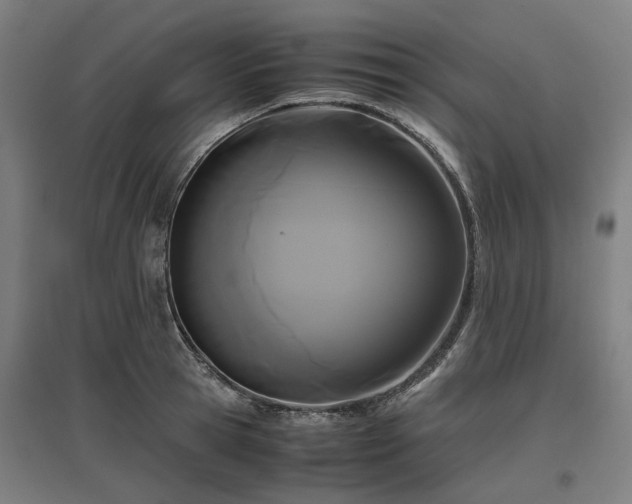 X0000096980945200802151327