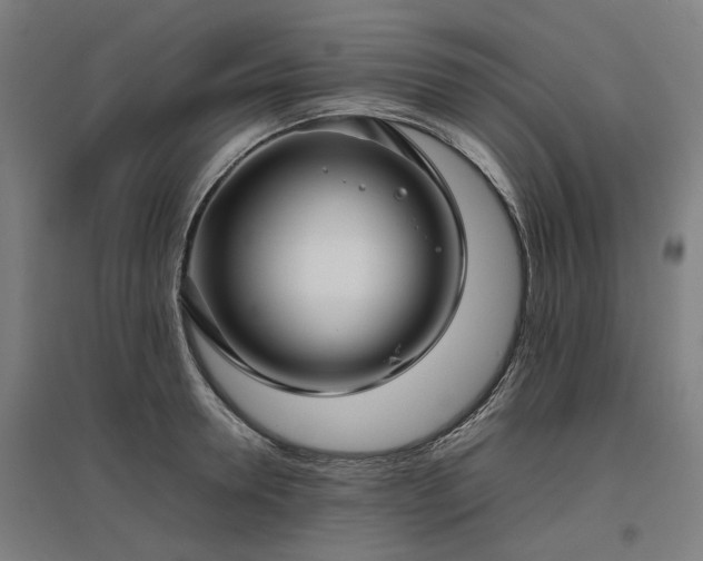 X0000096980946200802151327