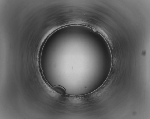 X0000096980947200802151327