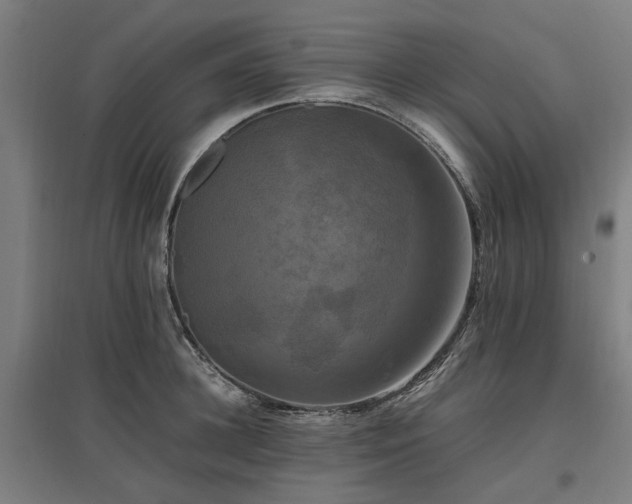 X0000096980948200802151327