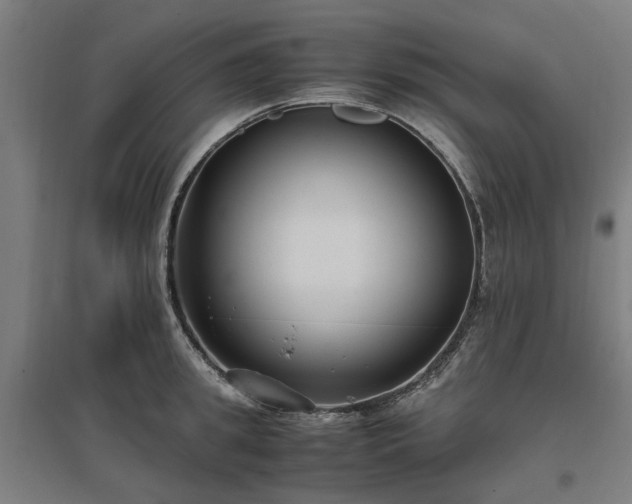 X0000096980949200802151327