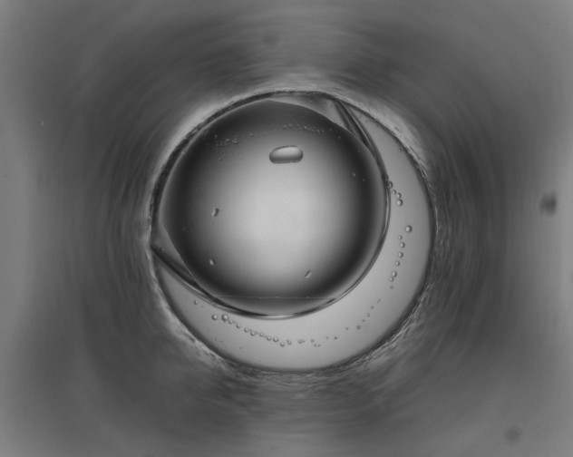 X0000096980950200802151327