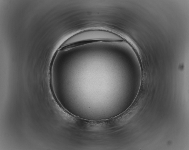 X0000096980951200802151327