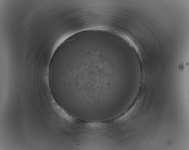 X0000096980952200802151327