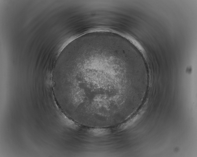 X0000096980953200802151327
