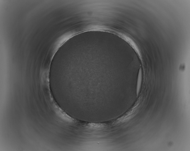 X0000096980954200802151327