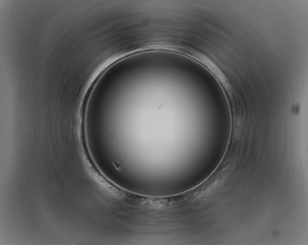 X0000096980955200802151327