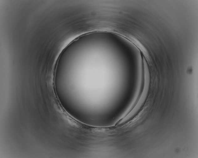 X0000096980956200802151327