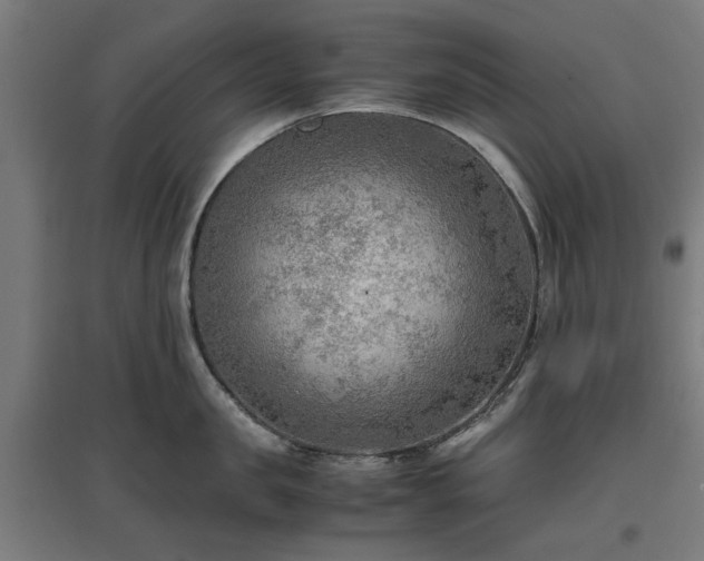 X0000096980957200802151327