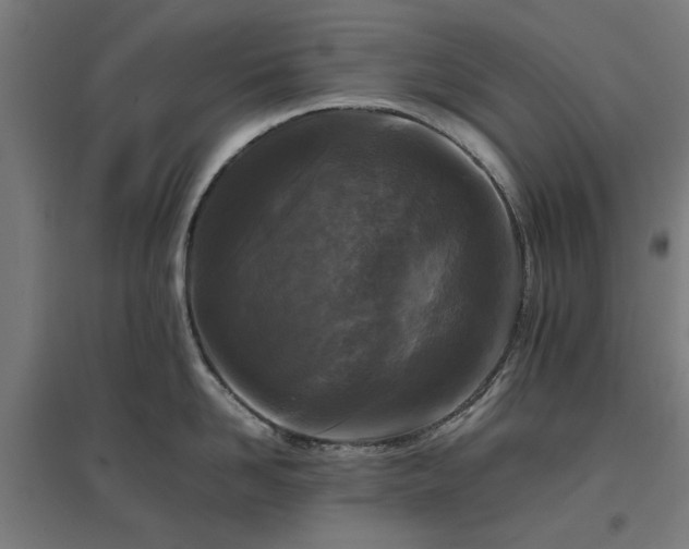 X0000096980958200802151327