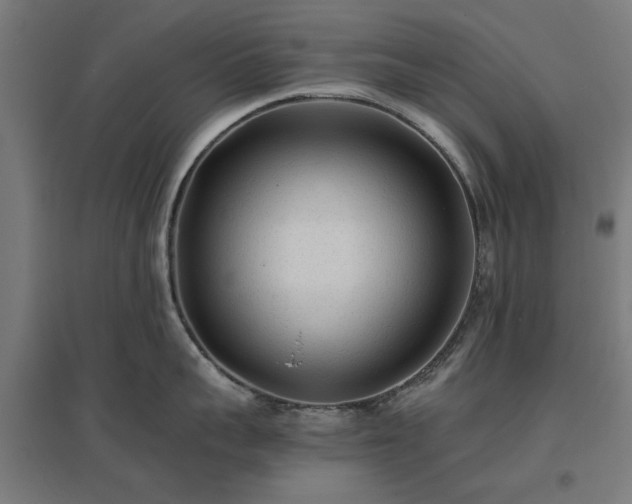 X0000096980959200802151327