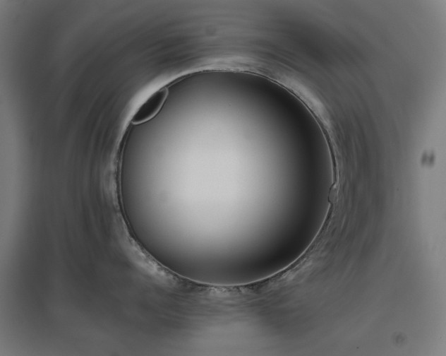 X0000096980960200802151327