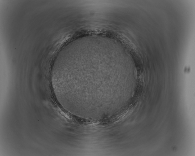 X0000096980961200802151327