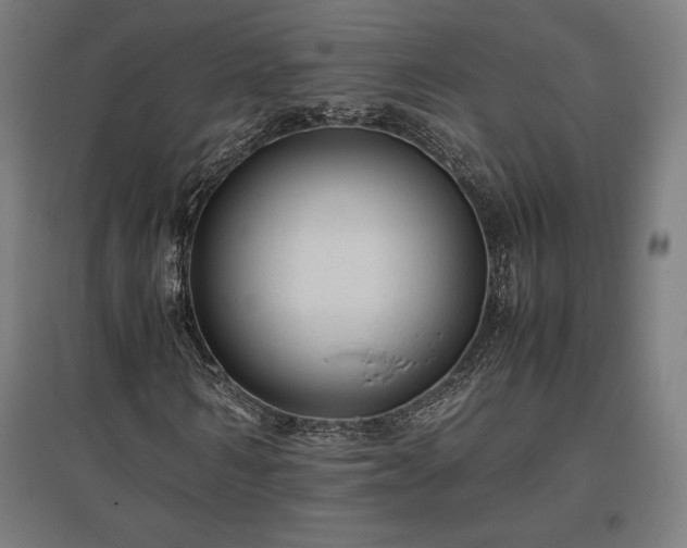 X0000096980962200802151327