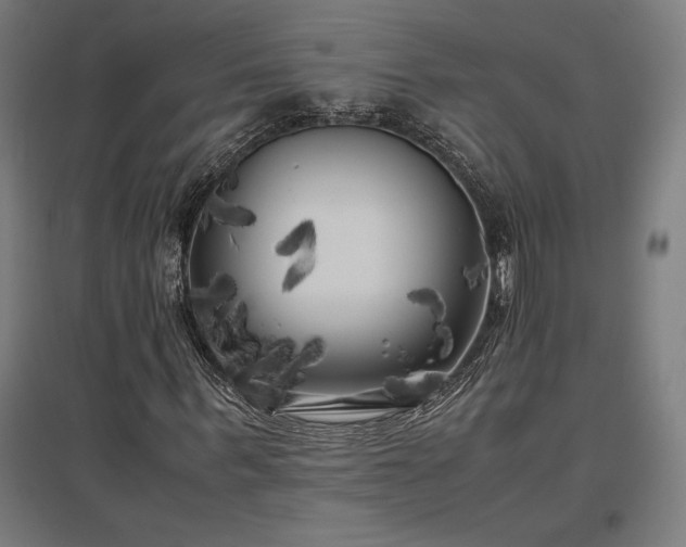 X0000096980963200802151327
