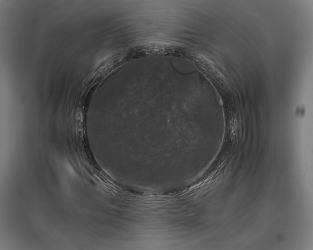 X0000096980964200802151327