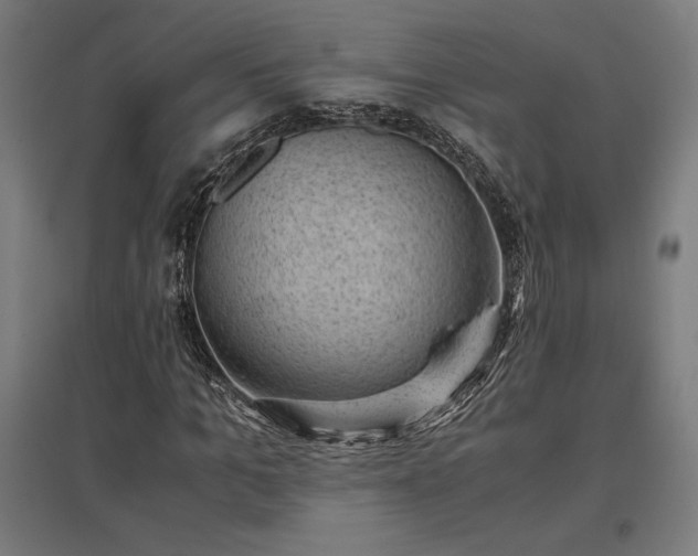 X0000096980965200802151327