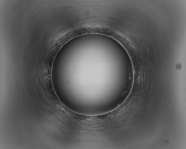 X0000096980966200802151327