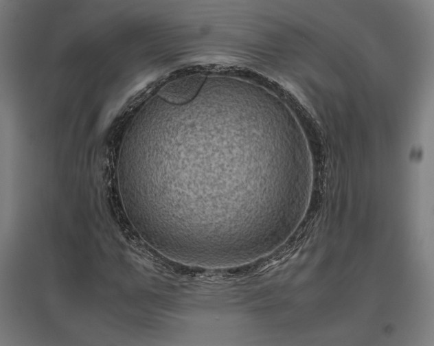 X0000096980967200802151327