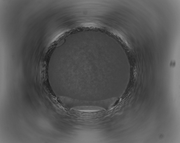 X0000096980968200802151327