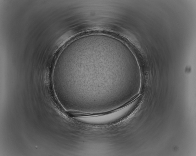 X0000096980969200802151327