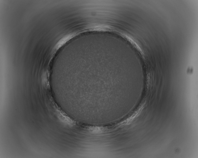 X0000096980970200802151327