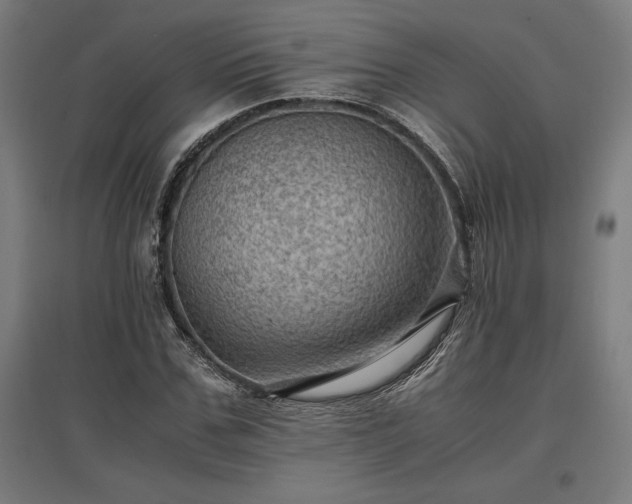 X0000096980971200802151327