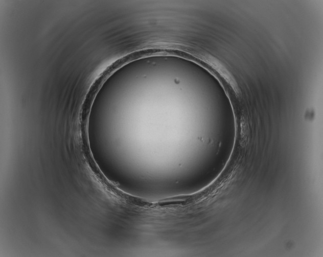 X0000096980972200802151327