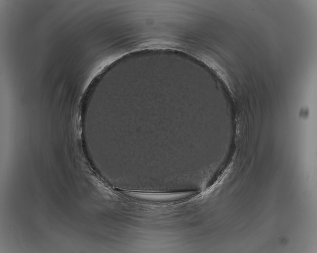 X0000096980973200802151327