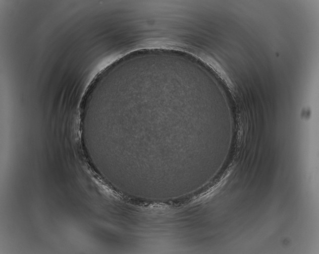 X0000096980974200802151327