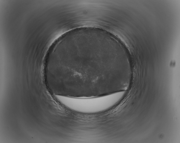 X0000096980975200802151326