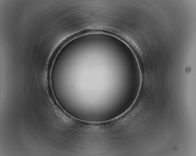 X0000096980976200802151326