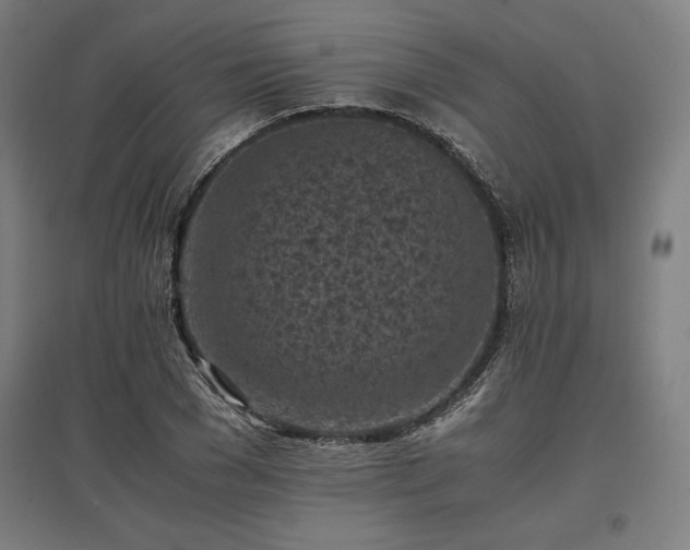 X0000096980977200802151326